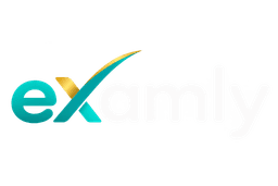 Examly Logo