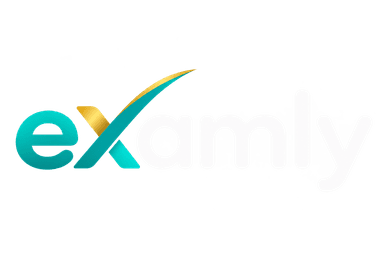 Examly Logo