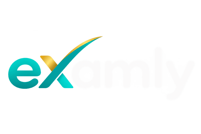 Examly Logo