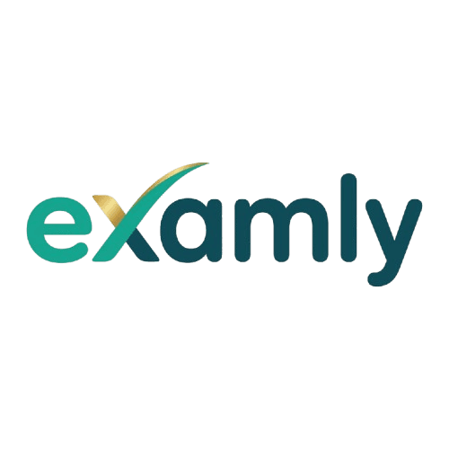 Examly Logo